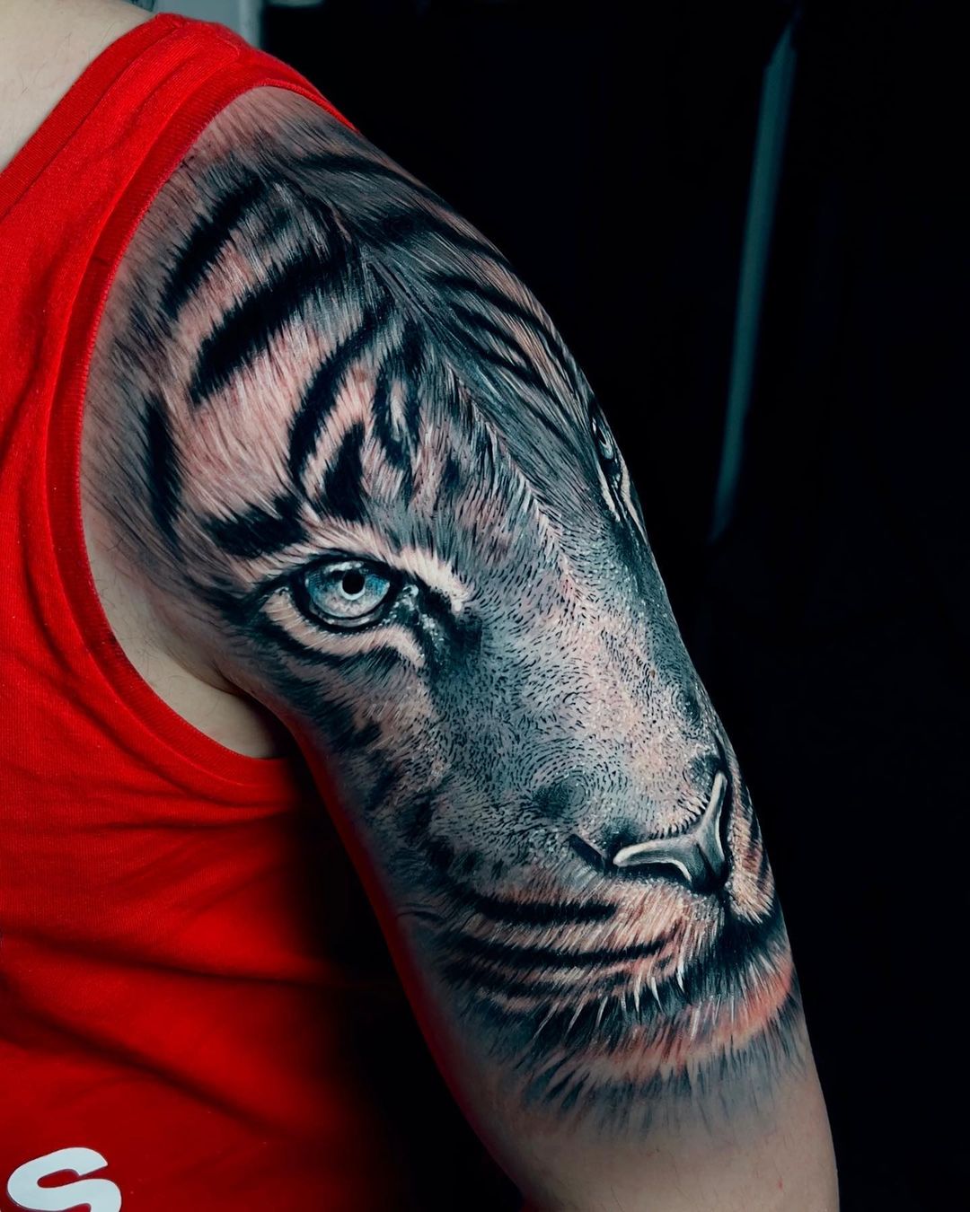 Tatuaje realista de tigre en brazo